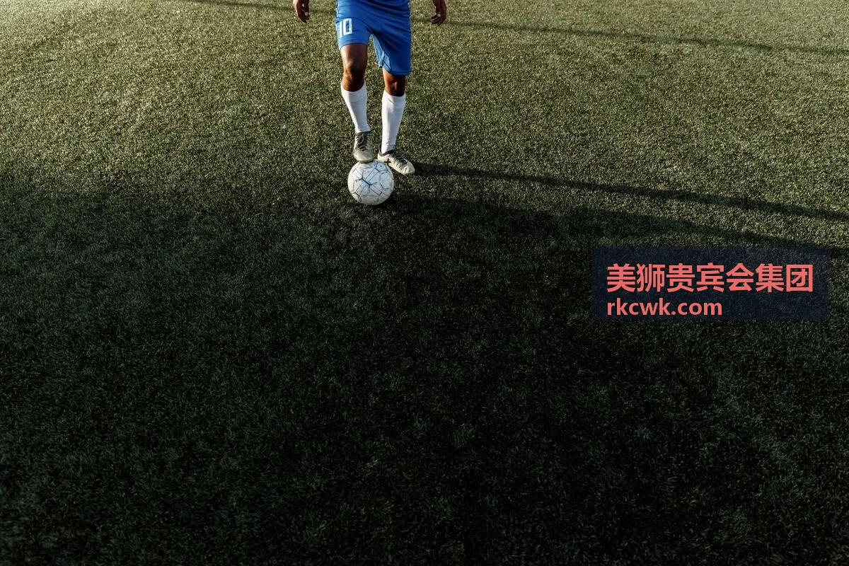 美狮贵宾会高端运营